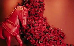 电梯情侣活春视频实拍